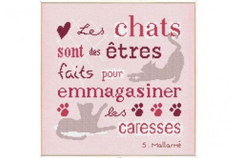 lilipoints-les-chats.jpg